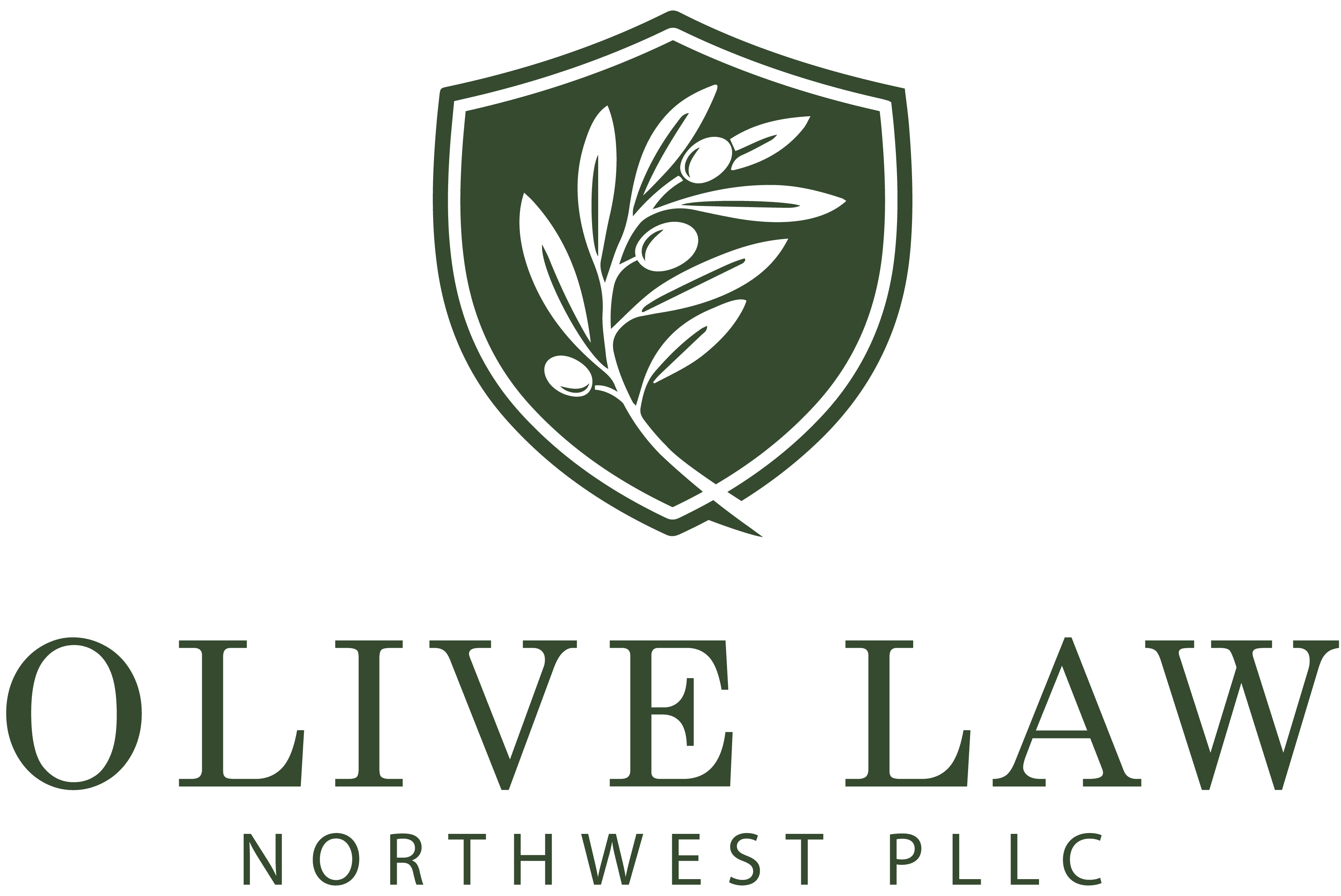 Olive Law Northwest PLLC